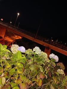 Giardino di Carlotta House-LT