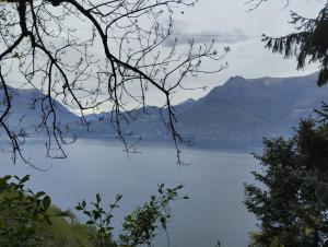 Paesaggio naturale nelle vicinanze dell'appartamento