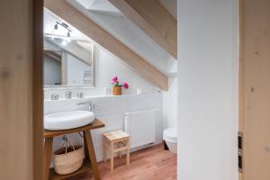 a bathroom with a sink and a toilet at Apartmány za Královskou mincovnou in Jáchymov +61 photos