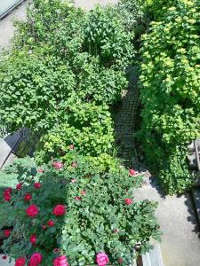 Giardino di Carlotta House-LT
