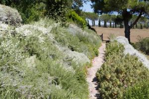 Gallery image of Sweet Tuscany in Capalbio