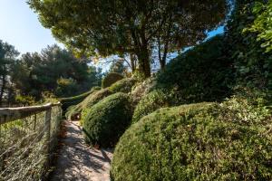 Gallery image of Sweet Tuscany in Capalbio +50 photos