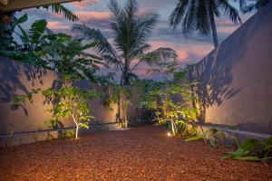 Κήπος έξω από το Roundabout