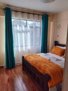 内罗毕Warm and Cosy 2 bedroom的一间卧室，配有一张带绿色窗帘的床和一扇窗户