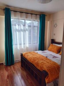 内罗毕Warm and Cosy 2 bedroom的一间卧室，配有一张带绿色窗帘的床和一扇窗户