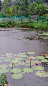 Afbeelding uit fotogalerij van Beehive staycations in Ambalavayal