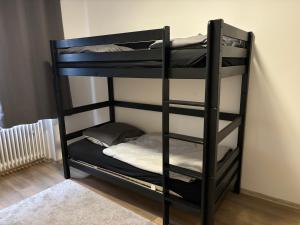 a couple of bunk beds in a room at 2 Zimmer Wohnung an der Isar in Munich