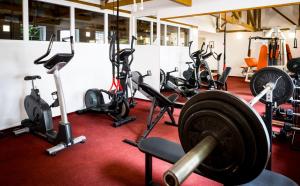 The fitness centre and/or fitness facilities at Hotel Flóra