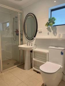 罗金汉姆Cosy, private guest house with pool and private parking的带淋浴、马桶和水槽的浴室