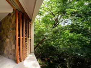 Cocolia Hotel外面的花园