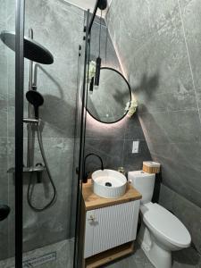 a bathroom with a shower and a toilet and a mirror at A Frame Girasole in Colibiţa +4 photos
