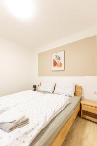 Gallery image of Apartments Vera in Spital am Semmering
