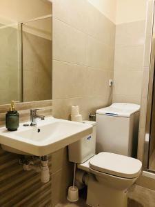 ジェールにあるDowntown- Családi Apartmanのトイレと洗面台付きのバスルーム