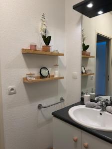 a bathroom with a sink and a mirror at Niort Home in Niort