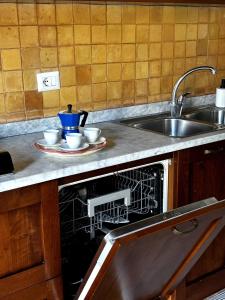 encimera de cocina con fregadero y lavavajillas en Appartamento Aurelia, en Castel Viscardo