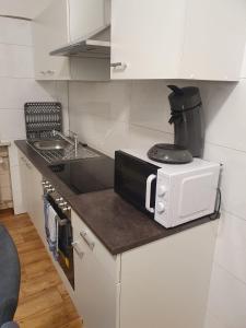 a small kitchen with a microwave and a sink at Waterfalls Apartment 2 in Triberg