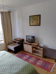TV a/nebo společenská místnost v ubytování Студио 36 - Семирамида, Боровец