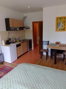 Kuchyň nebo kuchyňský kout v ubytování Студио 36 - Семирамида, Боровец