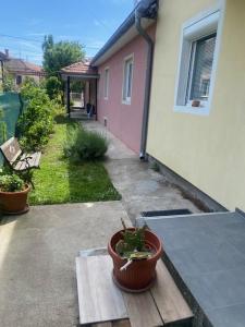 Vrt ispred objekta Apartman MILI