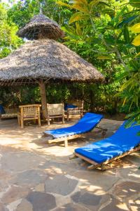 Foto dalla galleria di Firefly Eco Retreat a Shimoni