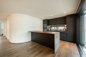 Kuchyň nebo kuchyňský kout v ubytování Swiss Suites - Menziken