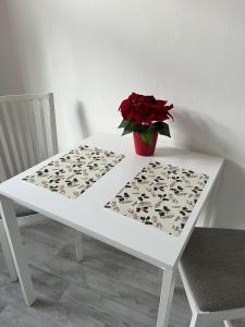 Fotografie z fotogalerie ubytování Apartmán Pisek centrum v Písku + 10 fotografií