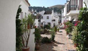 an alley with potted plants and buildings in a town at Apartamento Los Naranjos in Benahavís