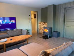 TV/trung tâm giải trí tại Familievennlig 2 mannsbolig Hemsedal Sentrum