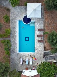 Bazén v ubytování Pandora Villa nebo v jeho okolí