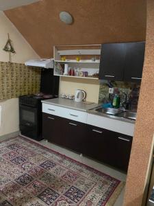 een kleine keuken met een spoelbak en een fornuis bij Apartman MILI in Požarevac