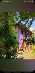 a purple house with stairs in front of it at guest house welcome in Khulo