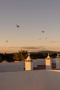 クアルテイラにあるOutsite Vilamouraの鳥のいる家屋根からの眺め +16枚の写真