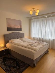 苏黎世Modern 1BR with in trendy area - West 10的一间带大床的卧室，带窗户