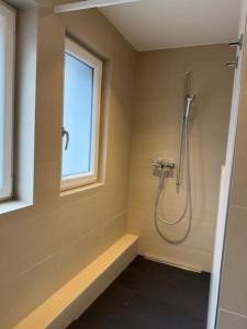 苏黎世Modern 1BR with in trendy area - West 10的带淋浴和窗户的浴室