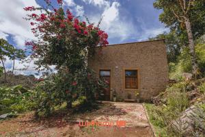 a house with a large bush with red flowers at Casa na pedra em Serra Negra vista para montanha in Bezerros