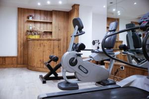 Fitness centrum a/nebo fitness zařízení v ubytování Nivis Hotel
