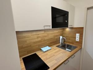 Kuchyň nebo kuchyňský kout v ubytování Ferienwohnung an der Traun