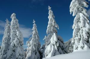 Hotel Appartement Lahngut during the winter