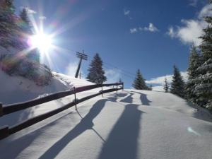 Hotel Appartement Lahngut during the winter