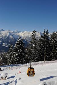 Hotel Appartement Lahngut during the winter