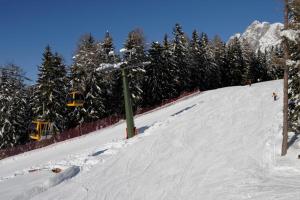 Hotel Appartement Lahngut during the winter