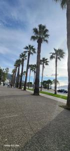 a row of palm trees next to a sidewalk at Viola Apartments 2 Min to Beach in Vlorë