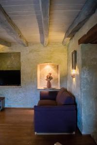 TV a/nebo společenská místnost v ubytování Arbalovija Rustic Villa