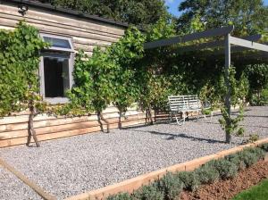 una panchina seduta di fronte a un edificio con delle viti di Vineyard lodge in Herefordshire a Ledbury