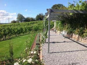 un giardino con pergolato e una fila di viti di Vineyard lodge in Herefordshire a Ledbury