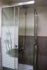 a shower with a glass door with a palm tree on it at Deema Hotel in Dubai
