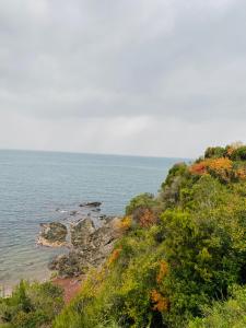 Paesaggio naturale nelle vicinanze dell'hotel