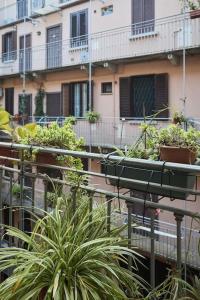 a group of potted plants on the side of a building at La casa di Visi in Milan