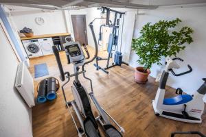 a gym with exercise bikes in a room at Le Cottage in Furdenheim