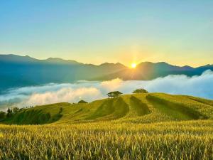 Photo de la galerie de l'établissement Bình Minh Homestay, à Nam Giang 24 autres photos
